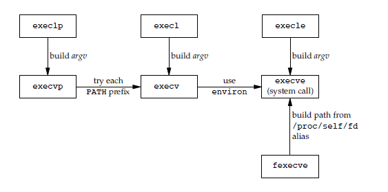 exec函数族之间的关系