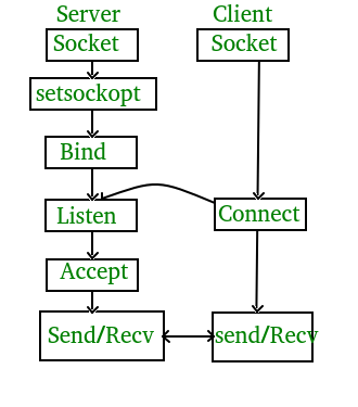 TCP编程(图片来自geeksforgeeks)